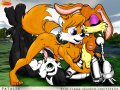 toon_1237418656639_BunTailHersh-c-Foxczer.jpg